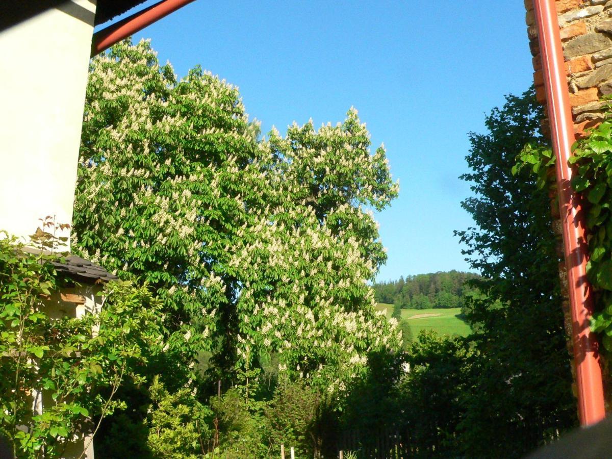 Stara Plebania Villa Ladek-Zdroj Exterior photo