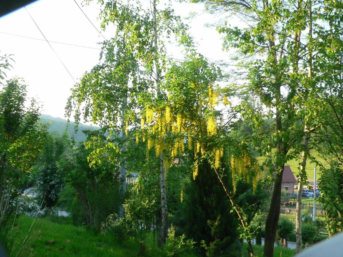 Stara Plebania Villa Ladek-Zdroj Exterior photo